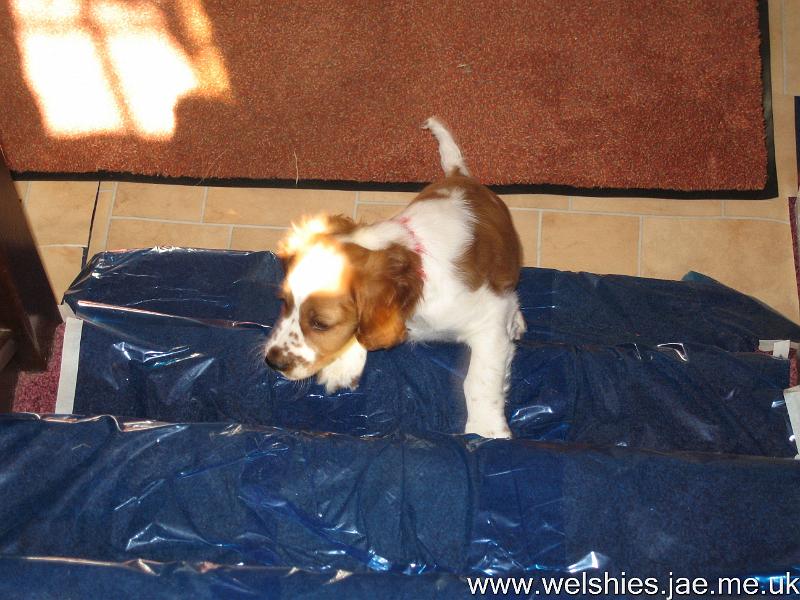 2009-04-07 01.JPG - Going up!